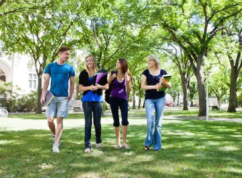 10723382 - group of college students walking in campus ground